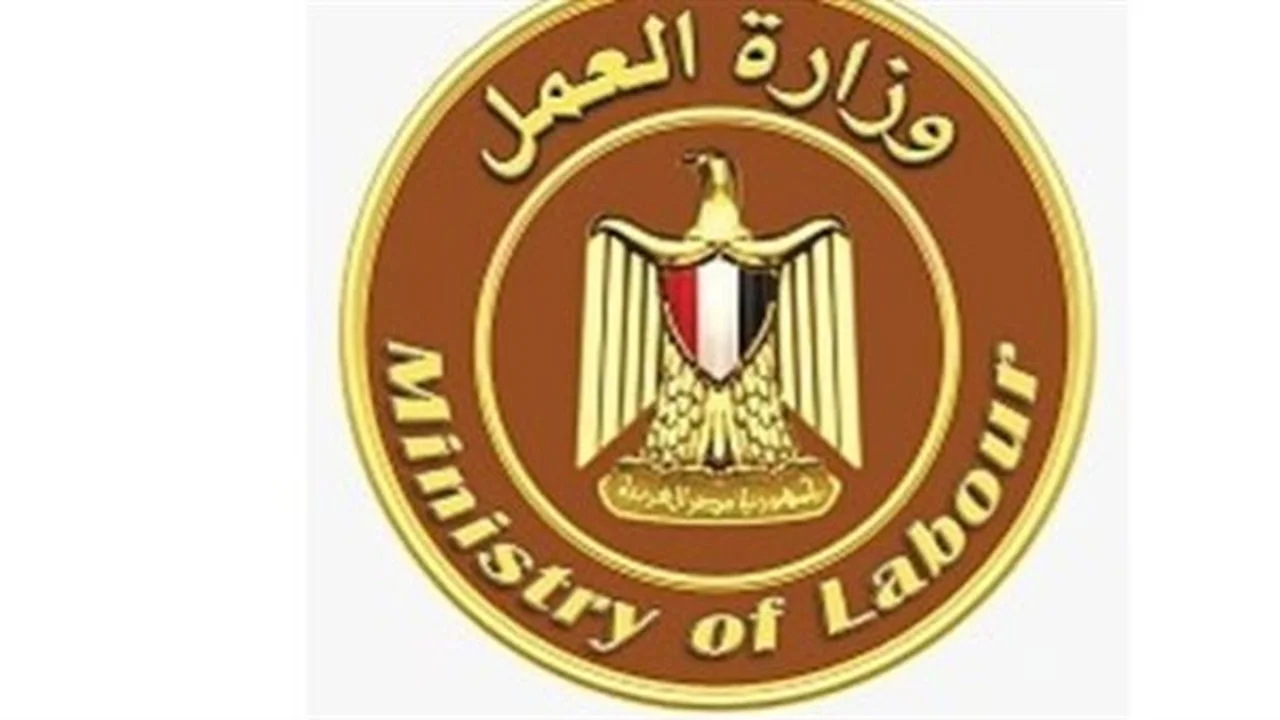 ملتقى توظيف مفتوح.. 500 فرصة عمل بمدينة العاشر من رمضان